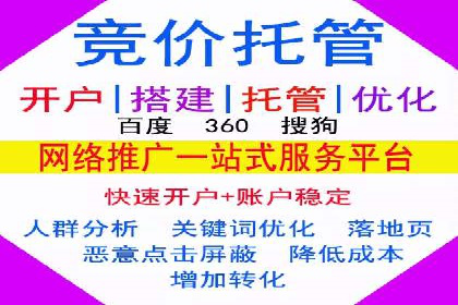 SEM公司成功案例分享：搜索引擎优化的力量